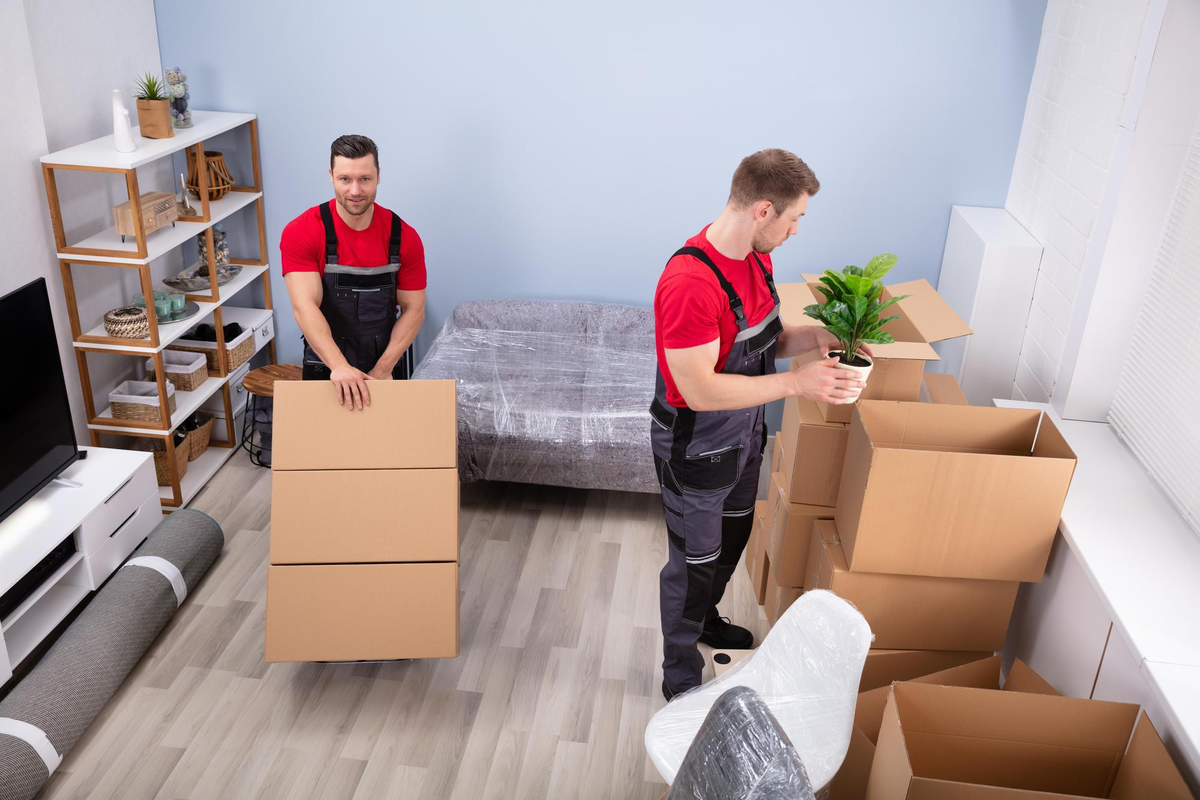 Apartment movers packing household items and boxes indoors – Easy Best Moves